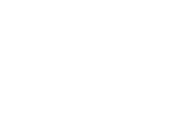 うちの猫も外猫ちゃんも、ハッピー